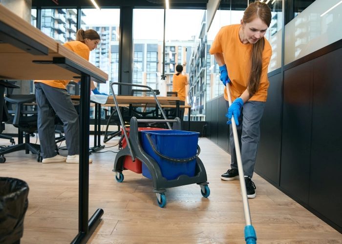 Limpieza de oficinas en Granada 18001